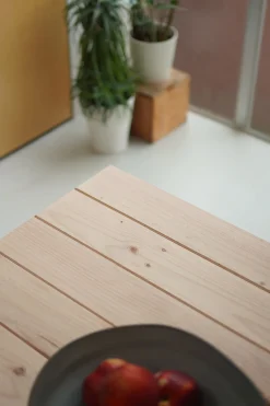 ARINA mesa de comedor 120x88