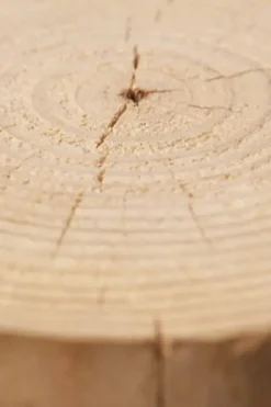 GU tronco de madera natural